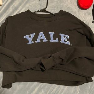 - Yale sweater